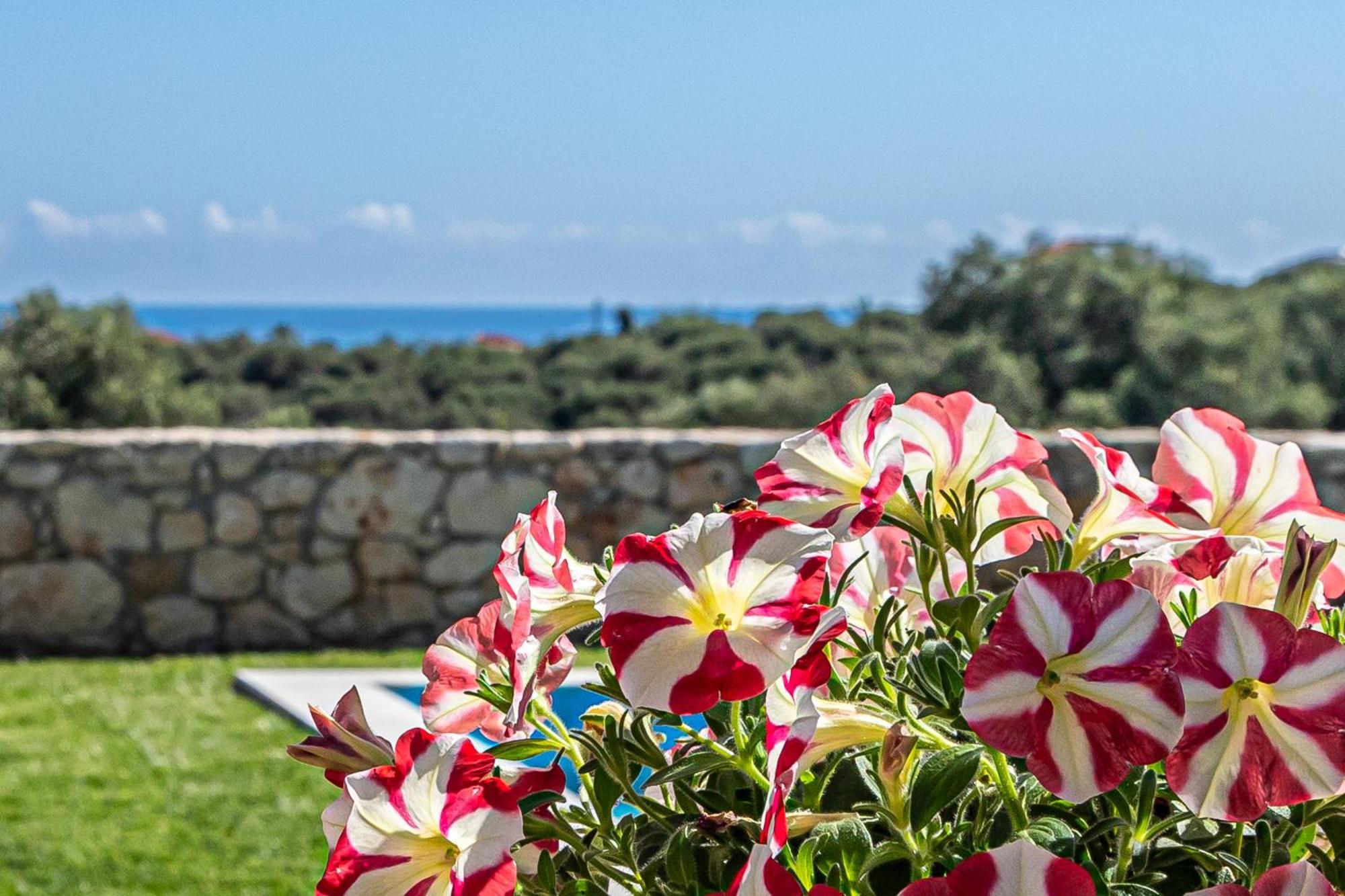 Villa Penelope Galatas  Bagian luar foto